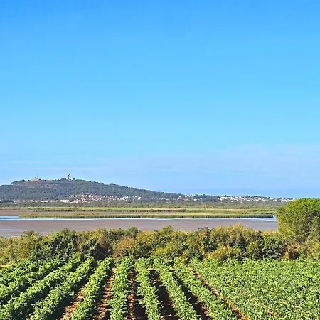 Villa Paradis De Mimose Marseillan (Herault)