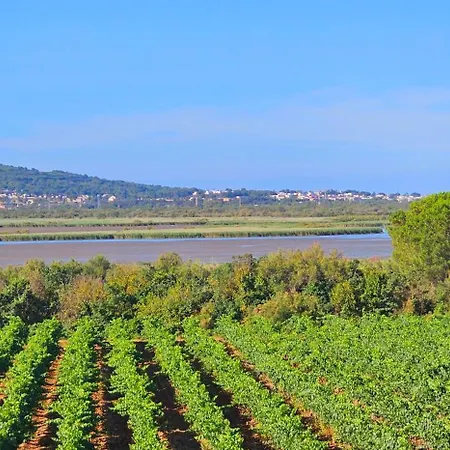 Villa Paradis De Mimose Marseillan (Herault)